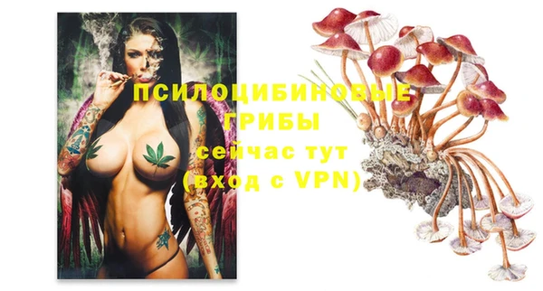 прущая мука Аркадак